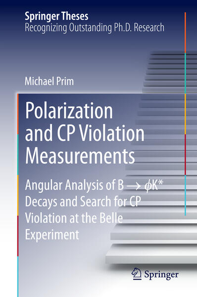 Polarization and CP Violation Measurements