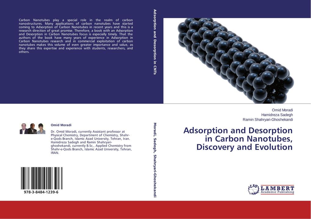 Adsorption and Desorption in Carbon Nanotubes Discovery and Evolution