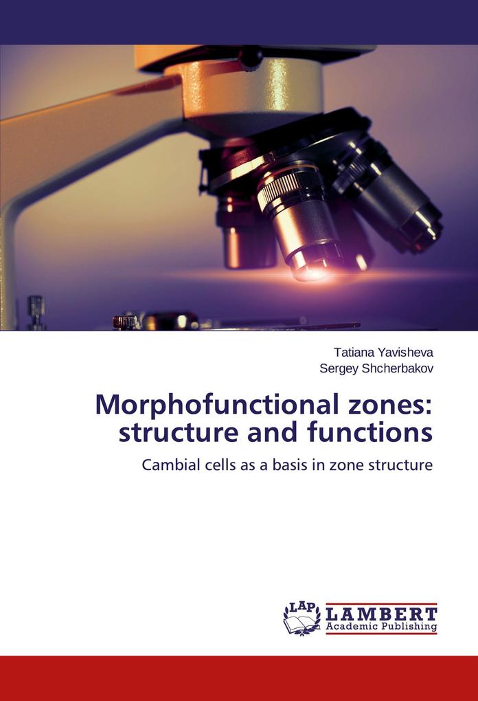 Morphofunctional zones: structure and functions