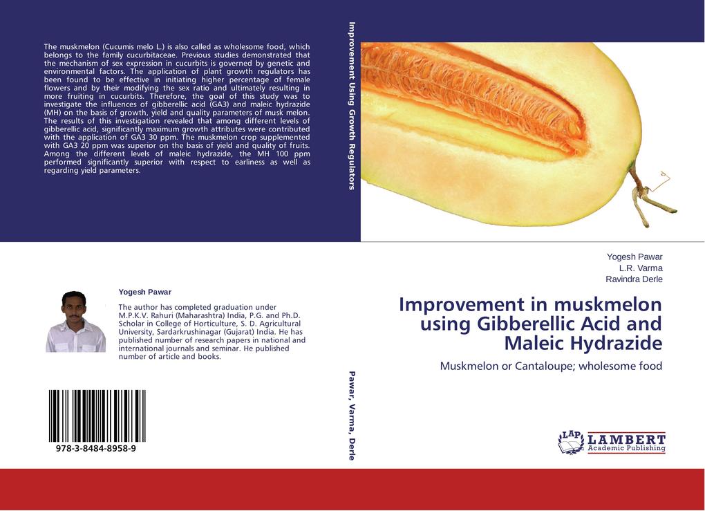 Improvement in muskmelon using Gibberellic Acid and Maleic Hydrazide