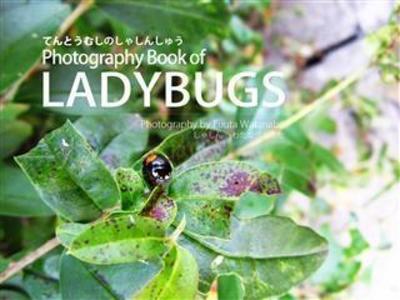Photography Book of Ladybugs(2012) Shinkai Fuuta Japan