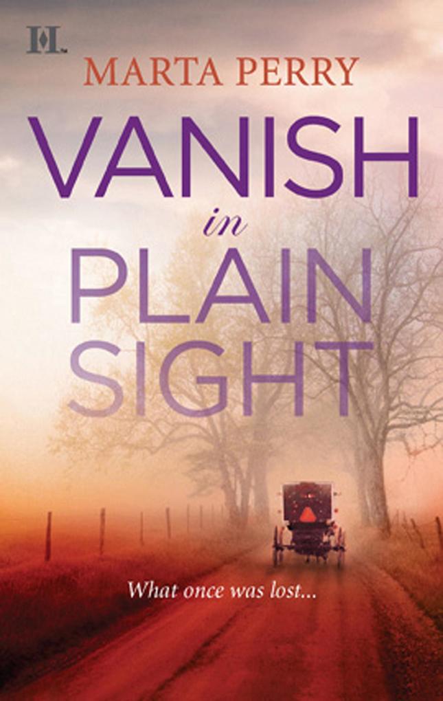 Vanish in Plain Sight (Brotherhood of the Raven Book 2)