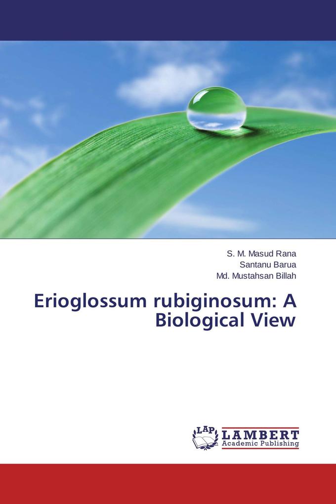 Erioglossum rubiginosum: A Biological View