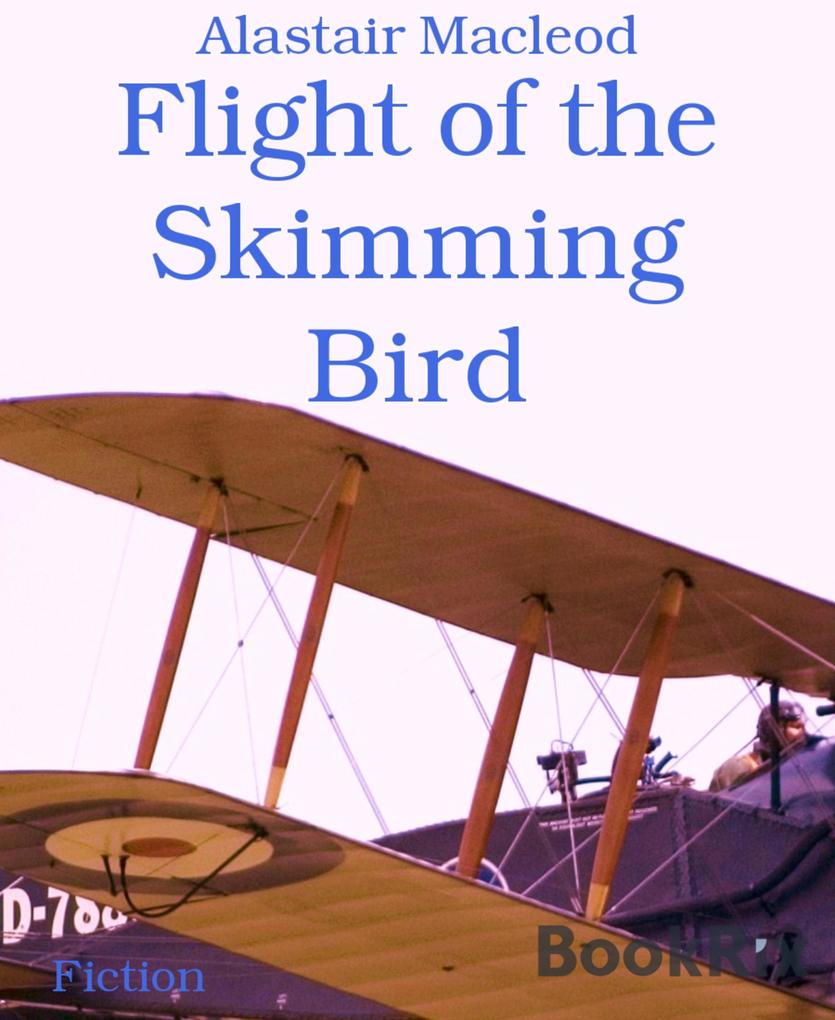 Flight of the Skimming Bird