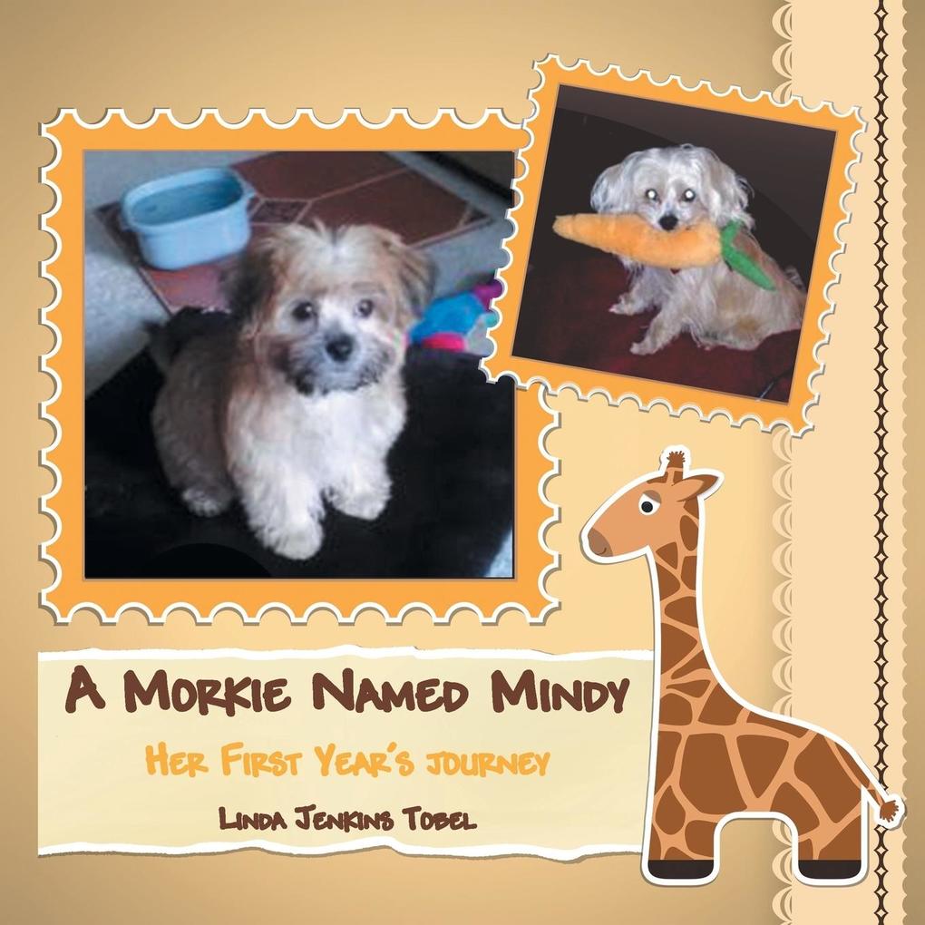 A Morkie Named Mindy: Her First Year‘s Journey