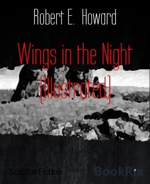 Wings in the Night (Illustrated)