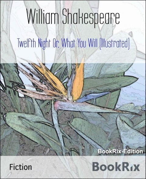 Twelfth Night Or What You Will (Illustrated)