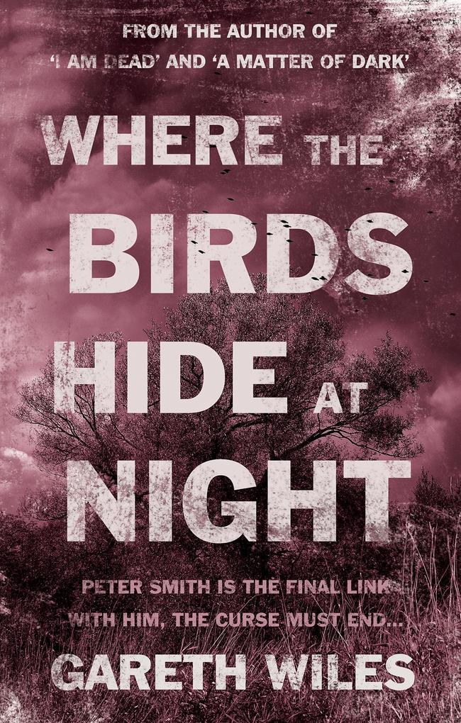 Where The Birds Hide At Night
