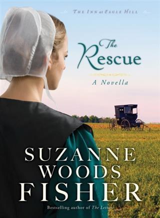Rescue (Ebook Shorts) (The Inn at Eagle Hill)