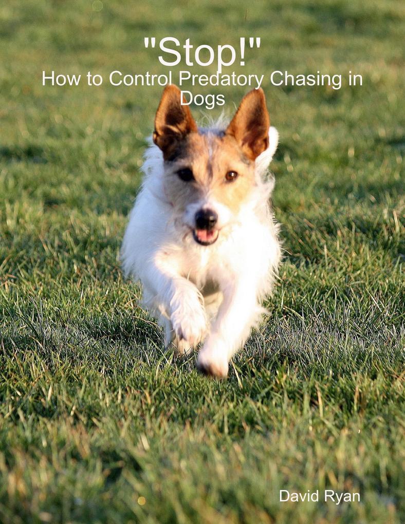 Stop!: How to Control Predatory Chasing in Dogs