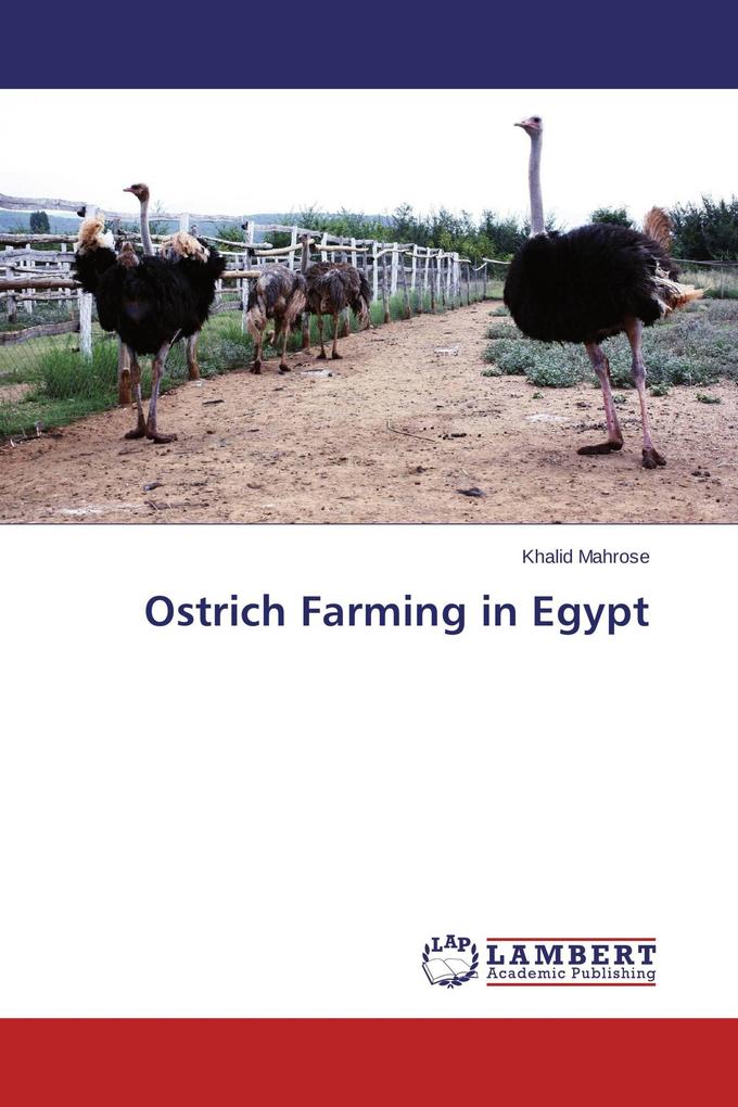 Ostrich Farming in Egypt