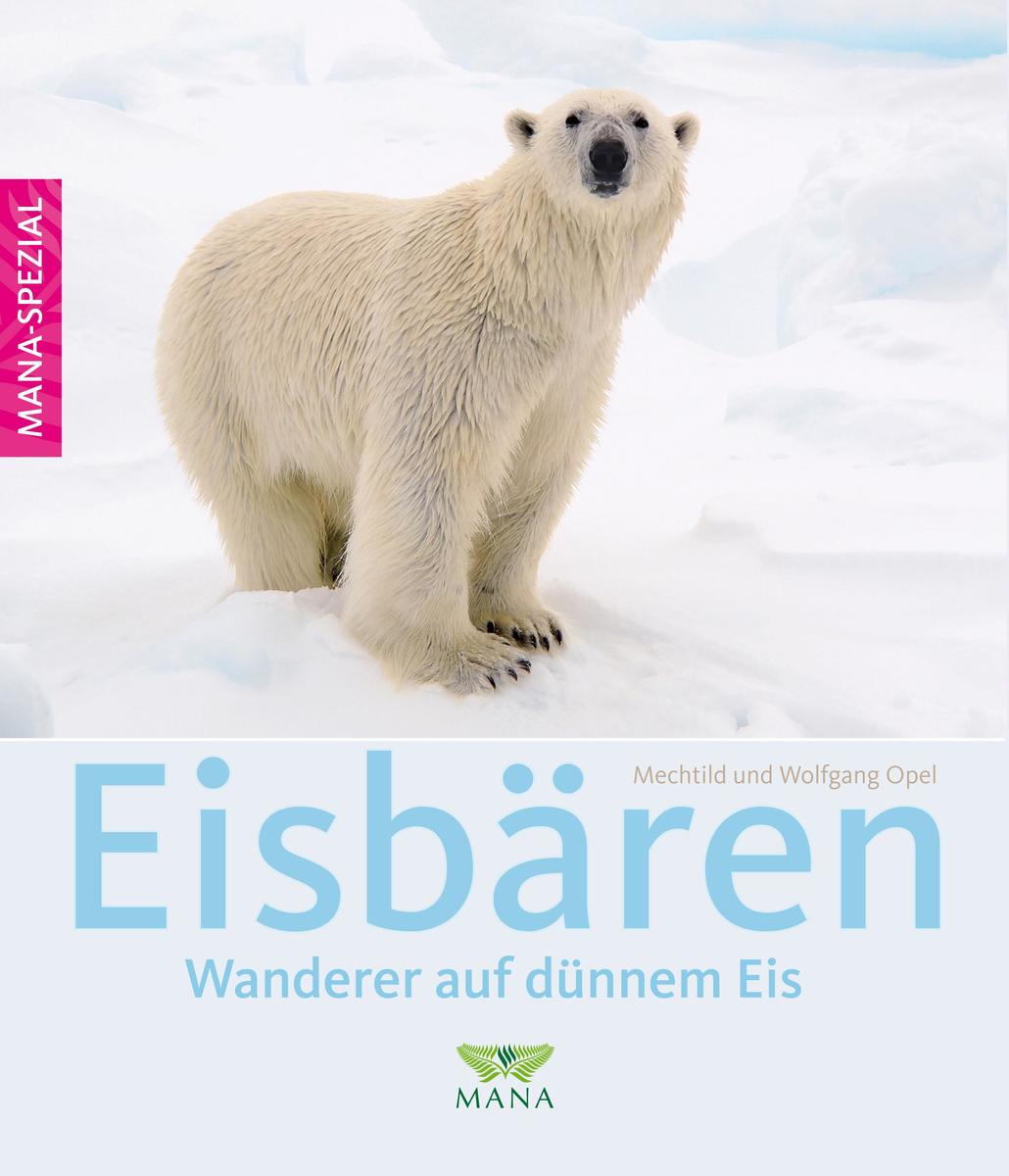 Mechtild Opel: Eisbären - Bild 3
