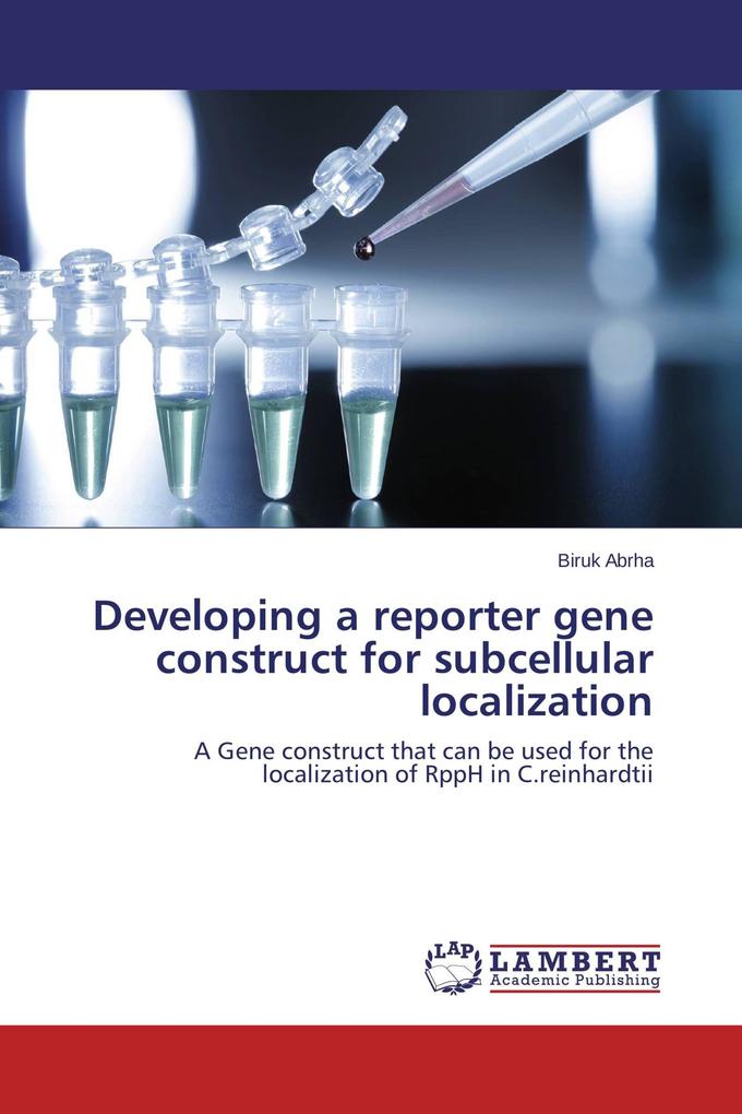 Developing a reporter gene construct for subcellular localization