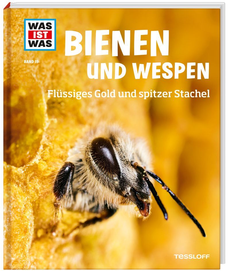 Image of Bienen und Wespen / Was ist was Bd.19