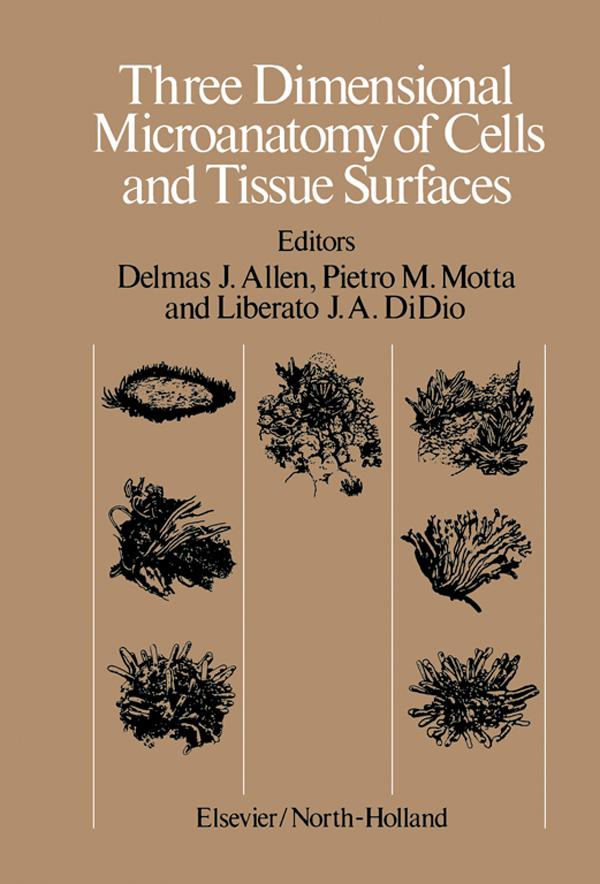 Three Dimensional Microanatomy of Cells and Tissue Surfaces