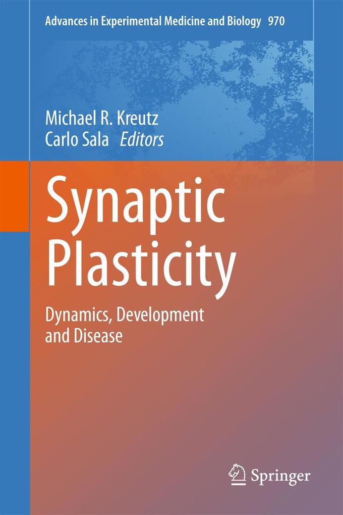 Synaptic Plasticity