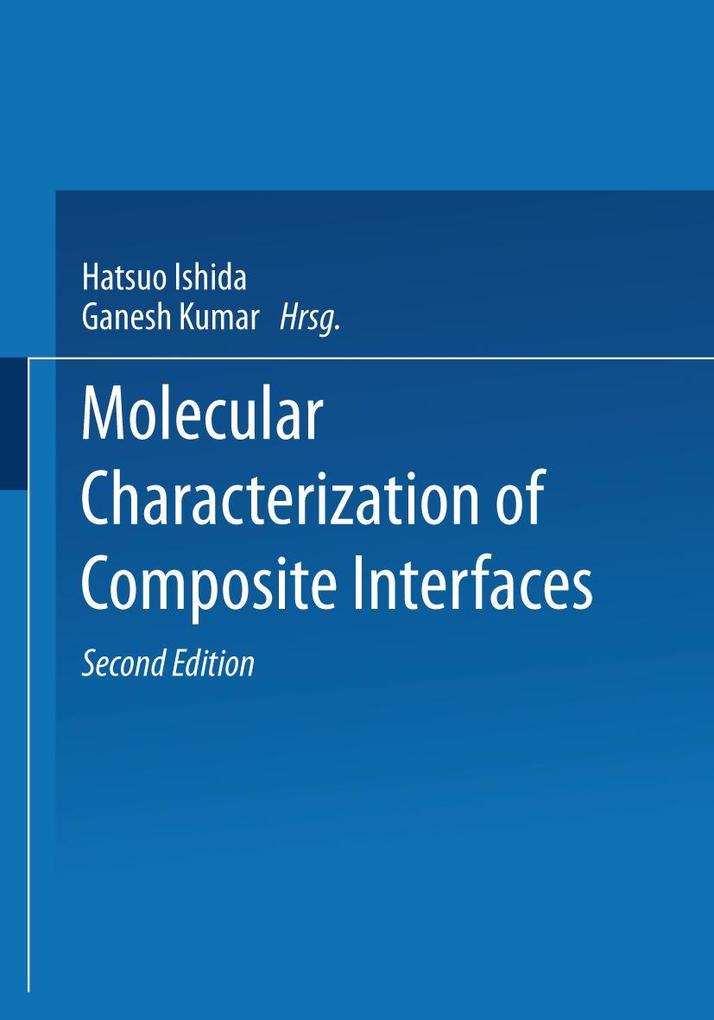 Molecular Characterization of Composite Interfaces