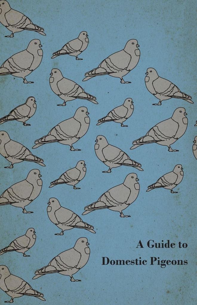 A Guide to Domestic Pigeons - With Chapters on Doves Training and Their Habits
