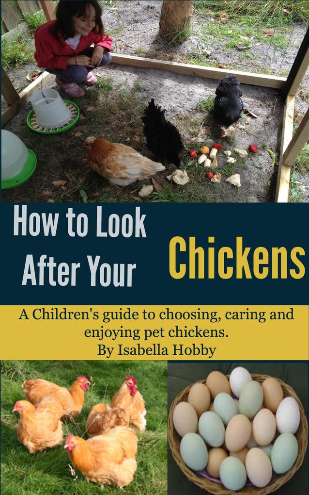 How to look after your Chickens