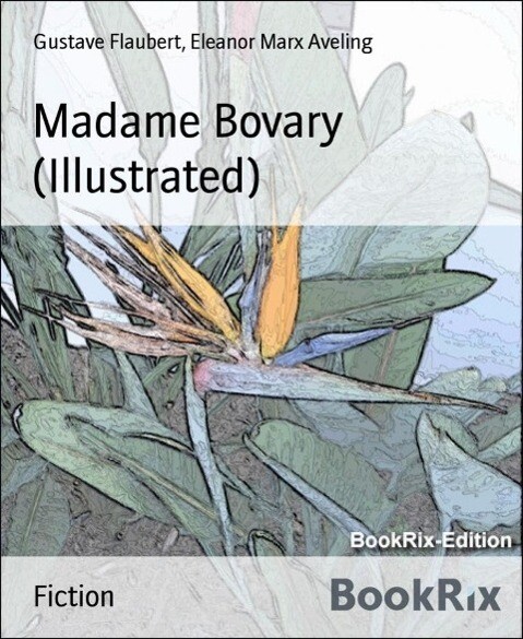 Madame Bovary (Illustrated)