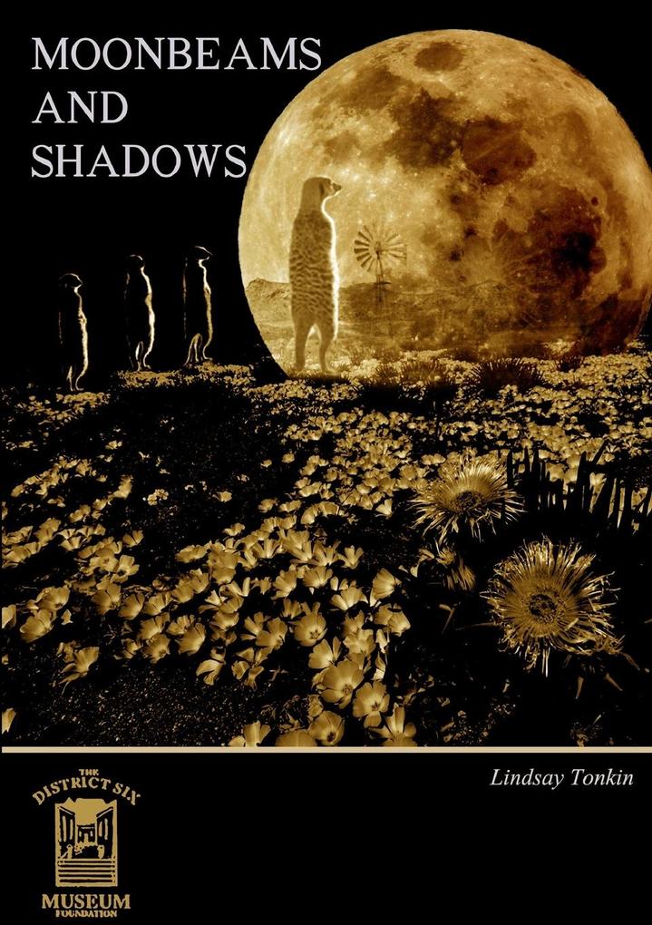 Moonbeams and Shadows