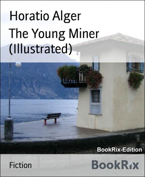 The Young Miner (Illustrated)