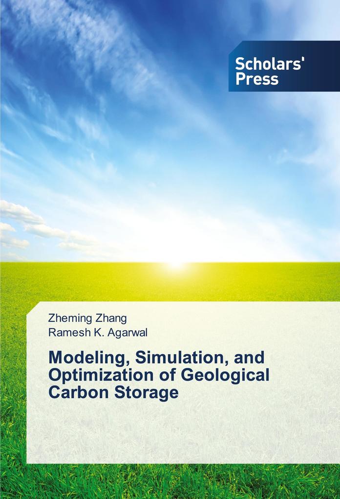 Modeling Simulation and Optimization of Geological Carbon Storage