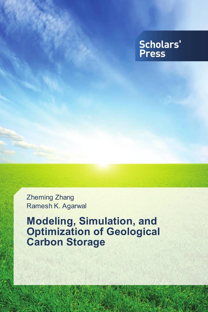 Modeling Simulation and Optimization of Geological Carbon Storage