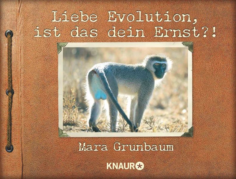 Liebe Evolution ist das dein Ernst?!
