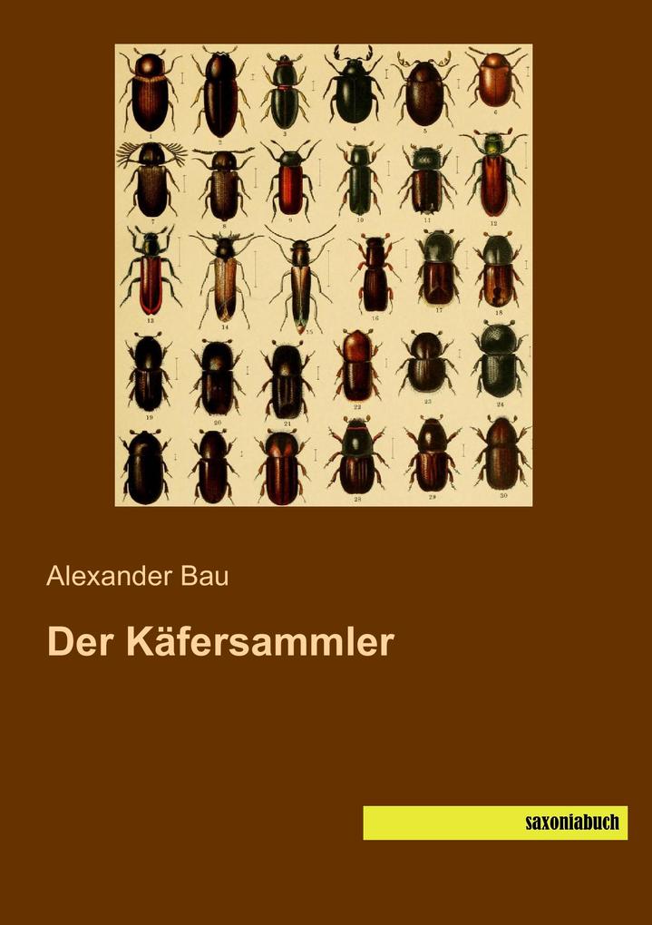 Der Käfersammler