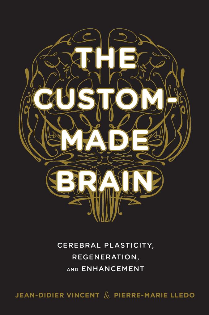 The Custom-Made Brain