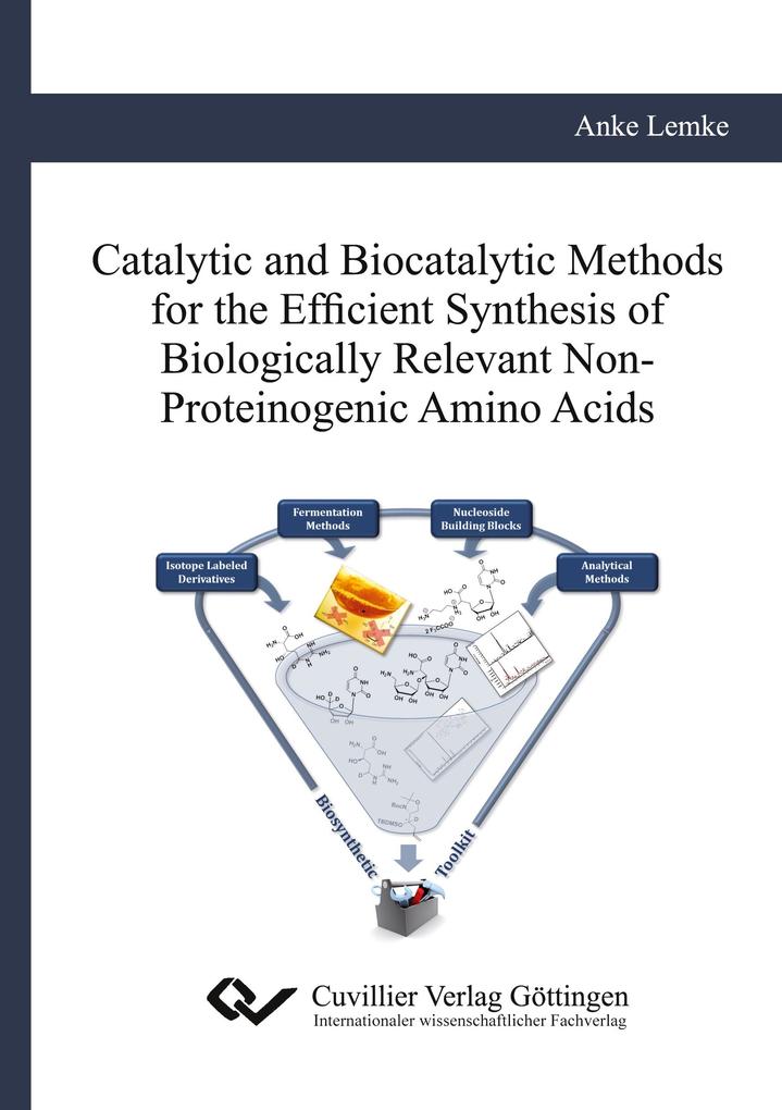Catalytic and Biocatalytic Methods for the Efficient Synthesis of Biologically Relevant Non-Proteinogenic Amino Acids