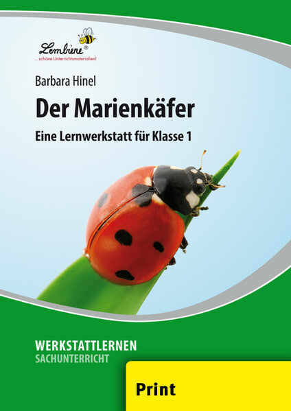 Der Marienkäfer (PR) - Barbara Hinel