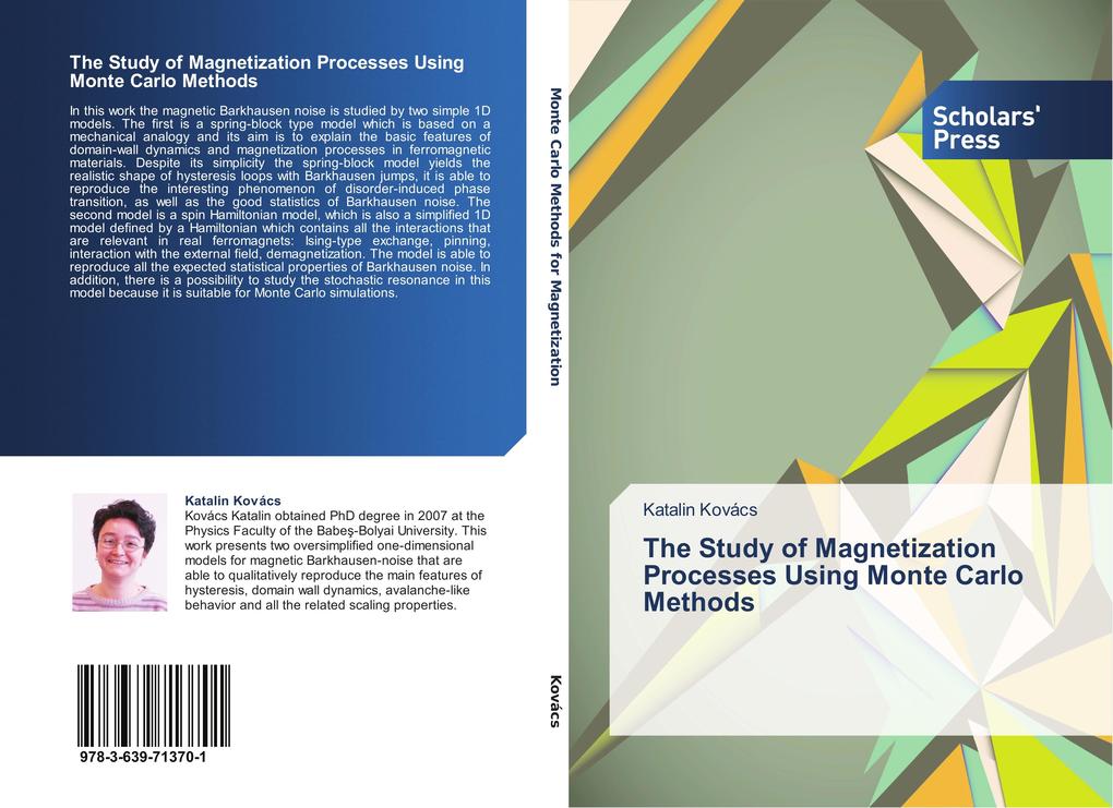 The Study of Magnetization Processes Using Monte Carlo Methods