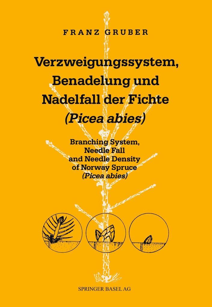 Verzweigungssystem Benadelung und Nadelfall der Fichte (Picea abies)