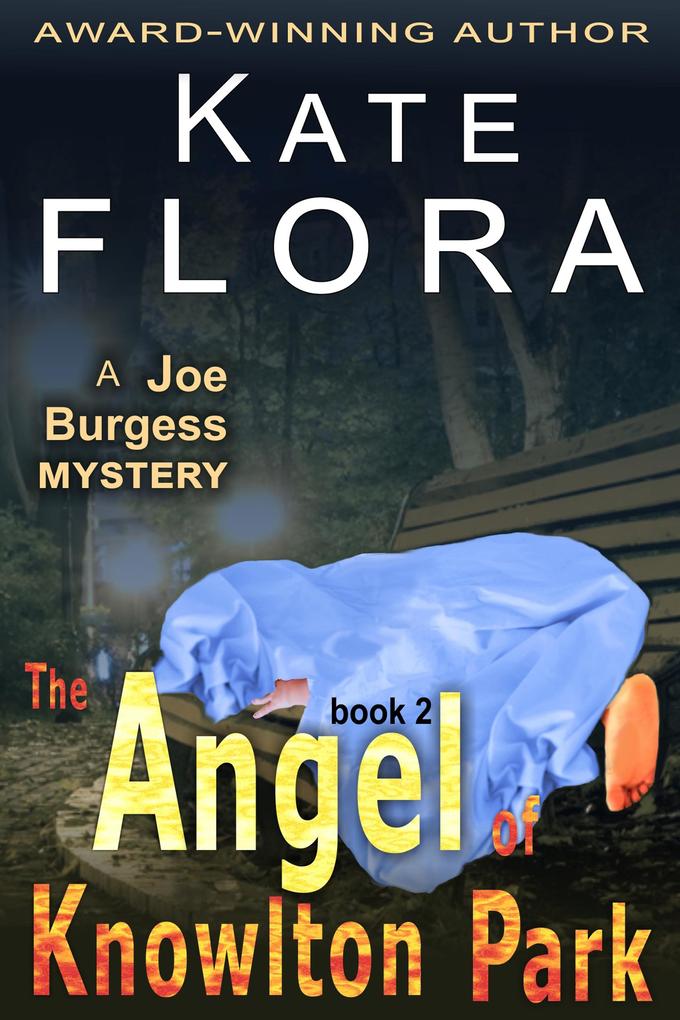 Angel of Knowlton Park (A Joe Burgess Mystery Book 2)