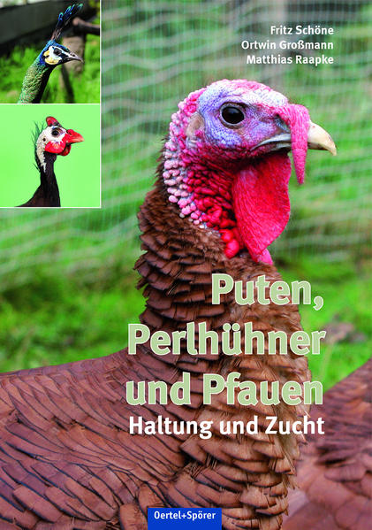 Puten Perlhühner und Pfauen