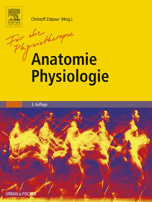 Anatomie Physiologie für die Physiotherapie als eBook Download von