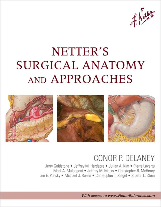 Netter‘s Surgical Anatomy and Approaches E-Book