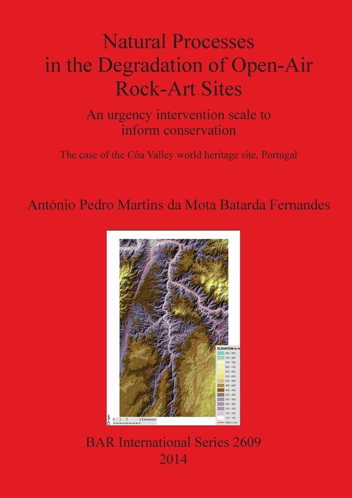 Natural Processes in the Degradation of Open-Air Rock-Art Sites