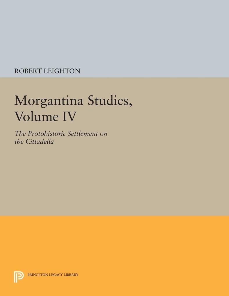 Morgantina Studies Volume IV