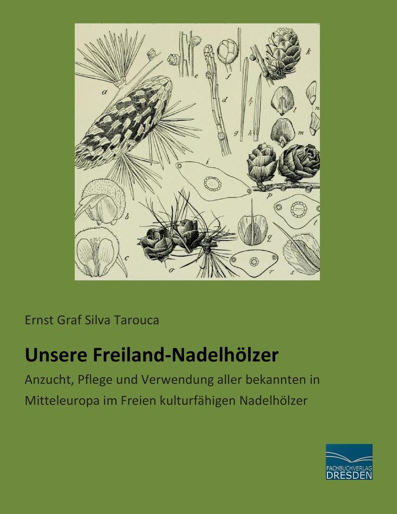 Unsere Freiland-Nadelhölzer
