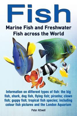 Fish: Marine Fish and Freshwater Fish Across the World: Information on Different Types of Fish: The Big Fish Shark Dog Fis