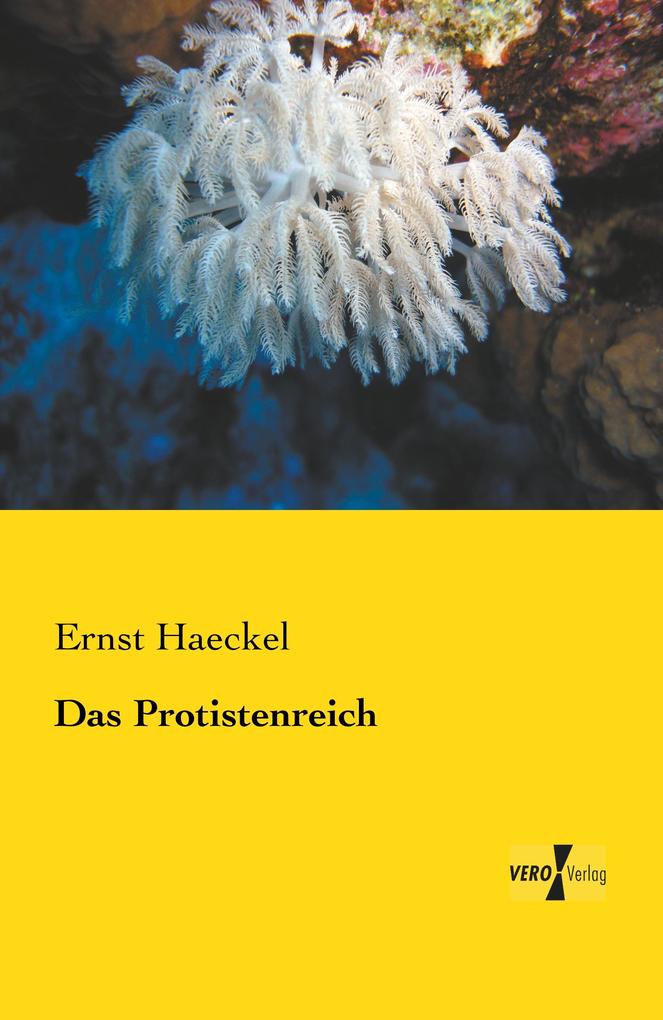 Das Protistenreich
