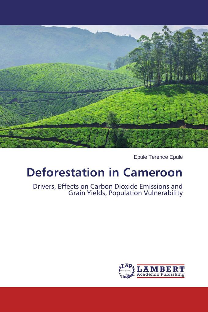 Deforestation in Cameroon
