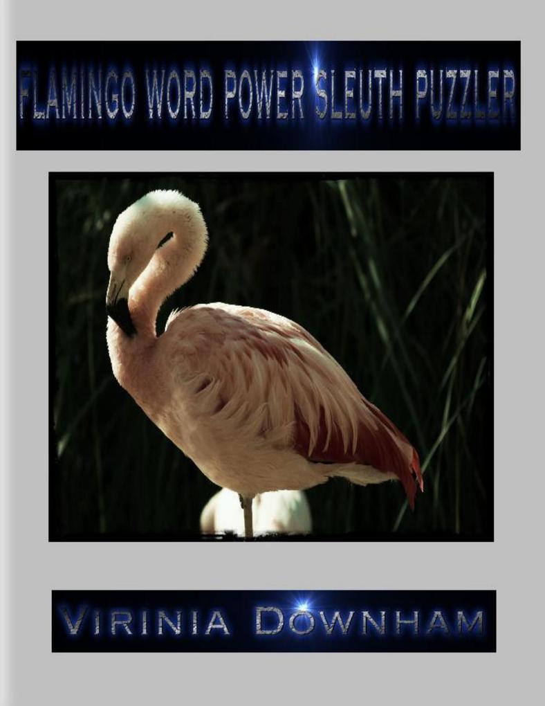 Flamingo Word Power Sleuth Puzzler