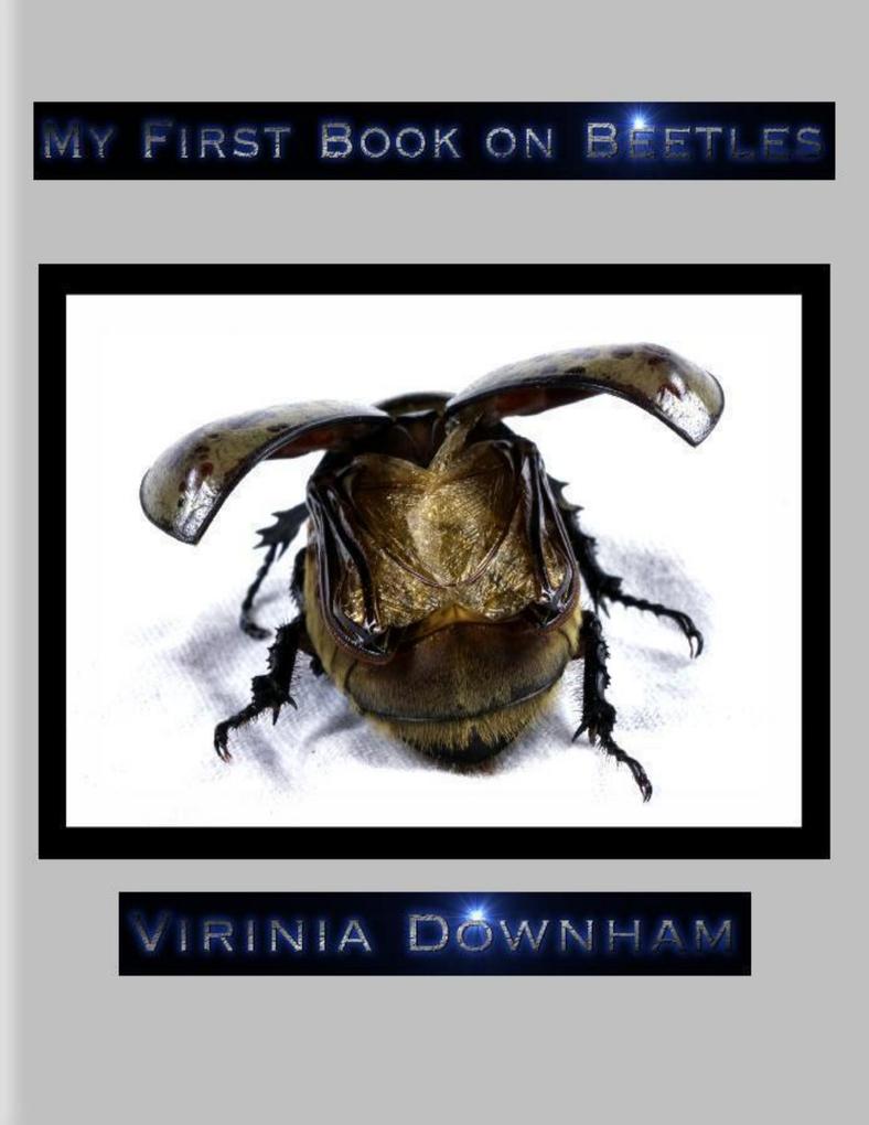 My First Book on Beetles