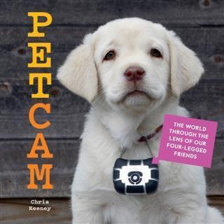 Petcam