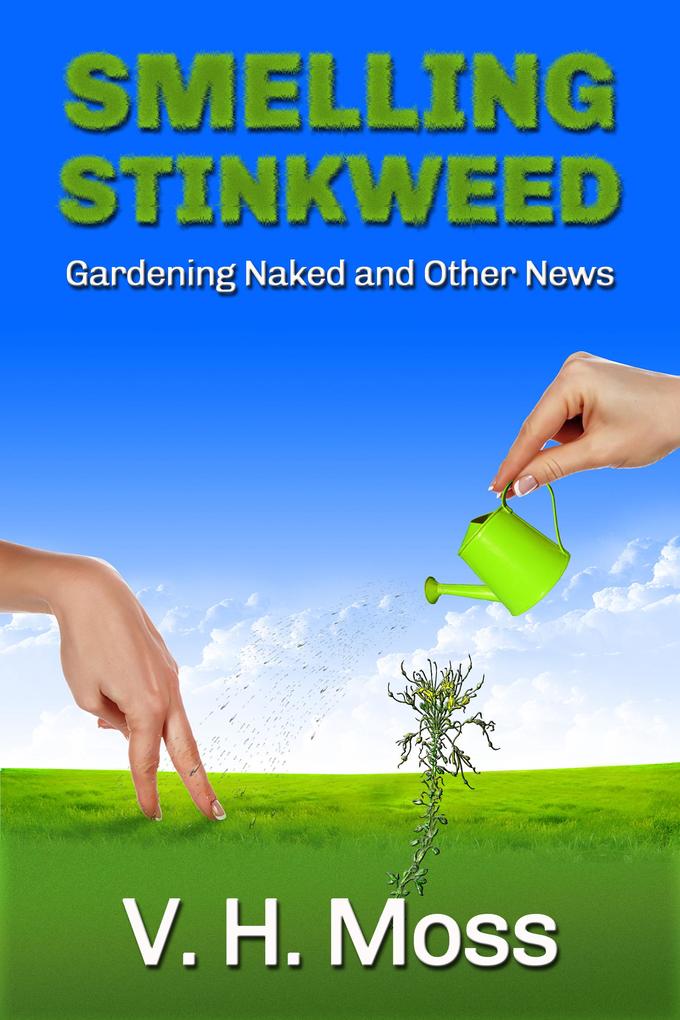 Smelling Stinkweed