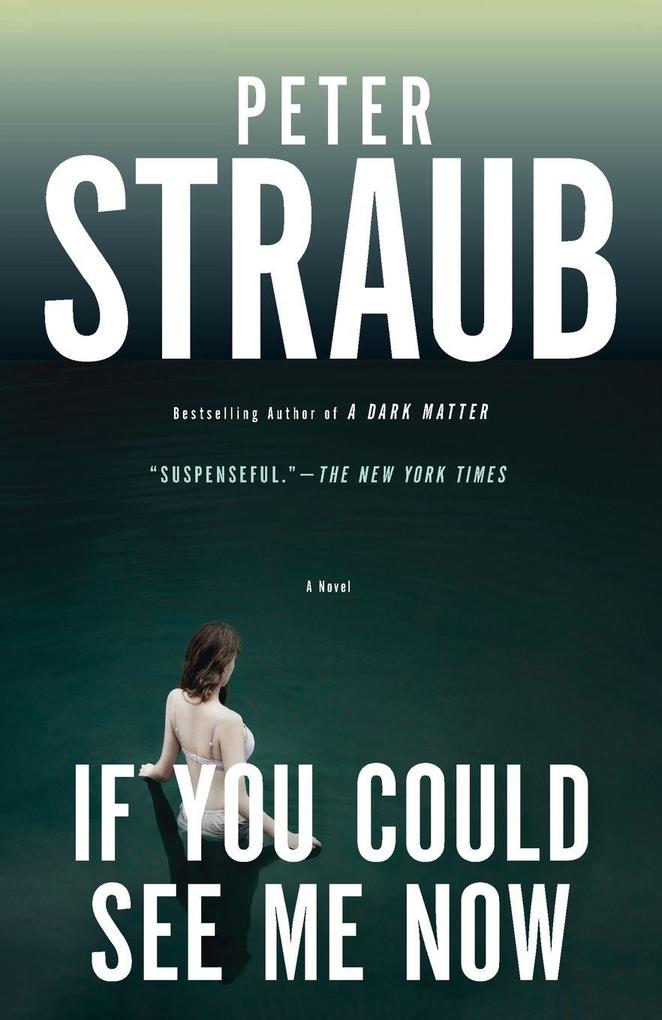 Knopf Doubleday Publishing Group If You Could See Me Now - Bild 2